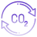 Carbon Credit NFTs